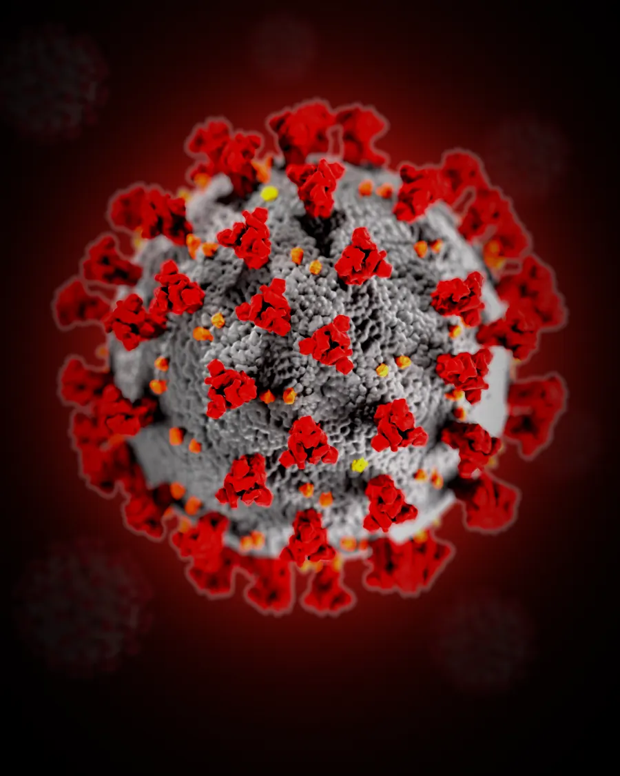 SARS-CoV-2, the virus behind the 2020 pandemic